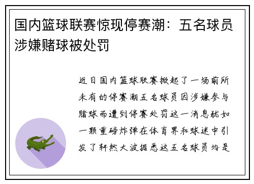 国内篮球联赛惊现停赛潮：五名球员涉嫌赌球被处罚